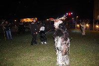Thumbs/tn_foto_ 043.jpg